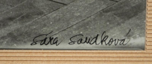 Saudková Sára - Siesta