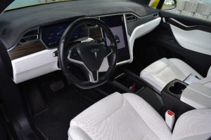 TESLA X