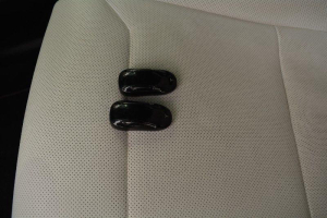 TESLA X
