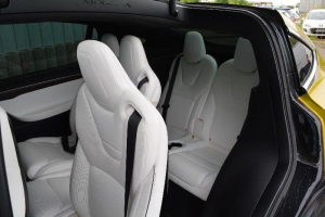 TESLA X