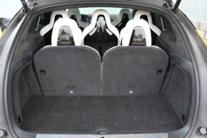 TESLA X