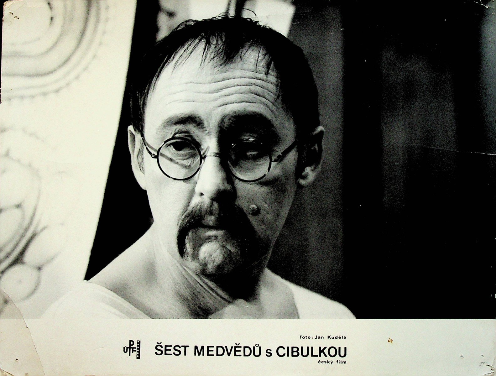 Šest medvědů s Cibulkou - fotoska na fotografickém papíře