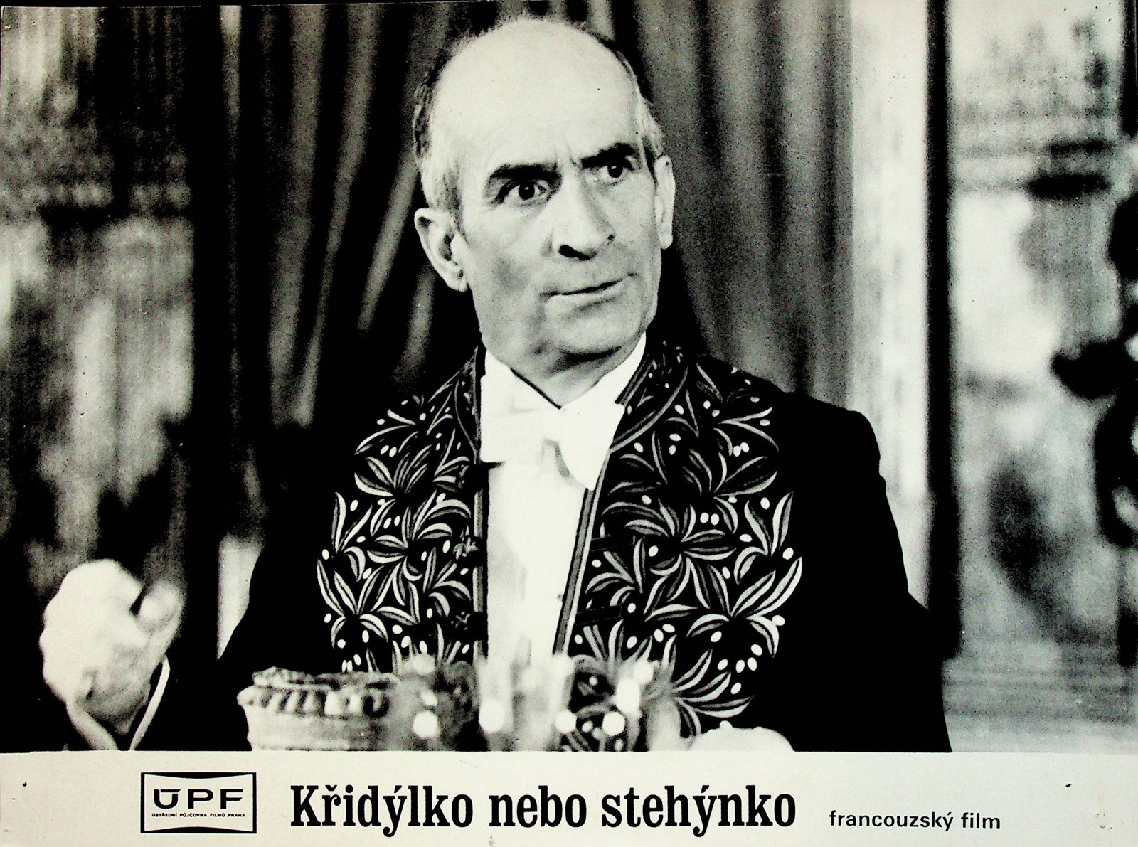 Křidýlko nebo stehýnko? - fotoska na fotografickém papíře