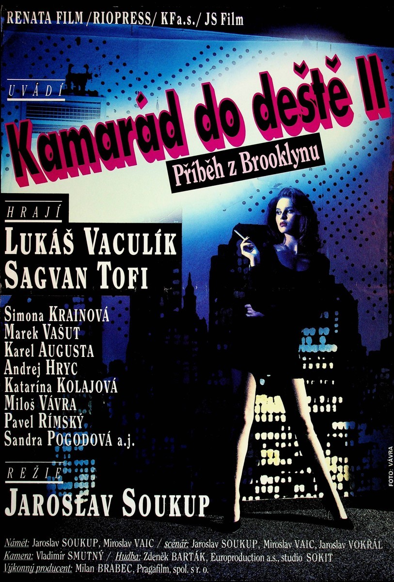 Kamarád do deště II, Příběh z Brooklynu - anonym