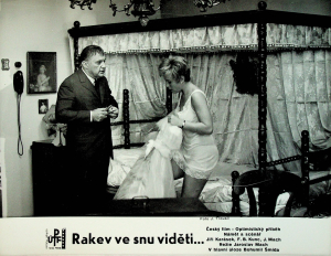 Rakev ve snu viděti... - J. Trousil - 4 x fotoska na fotografickém papíře