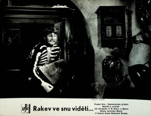 Rakev ve snu viděti... - J. Trousil - 4 x fotoska na fotografickém papíře