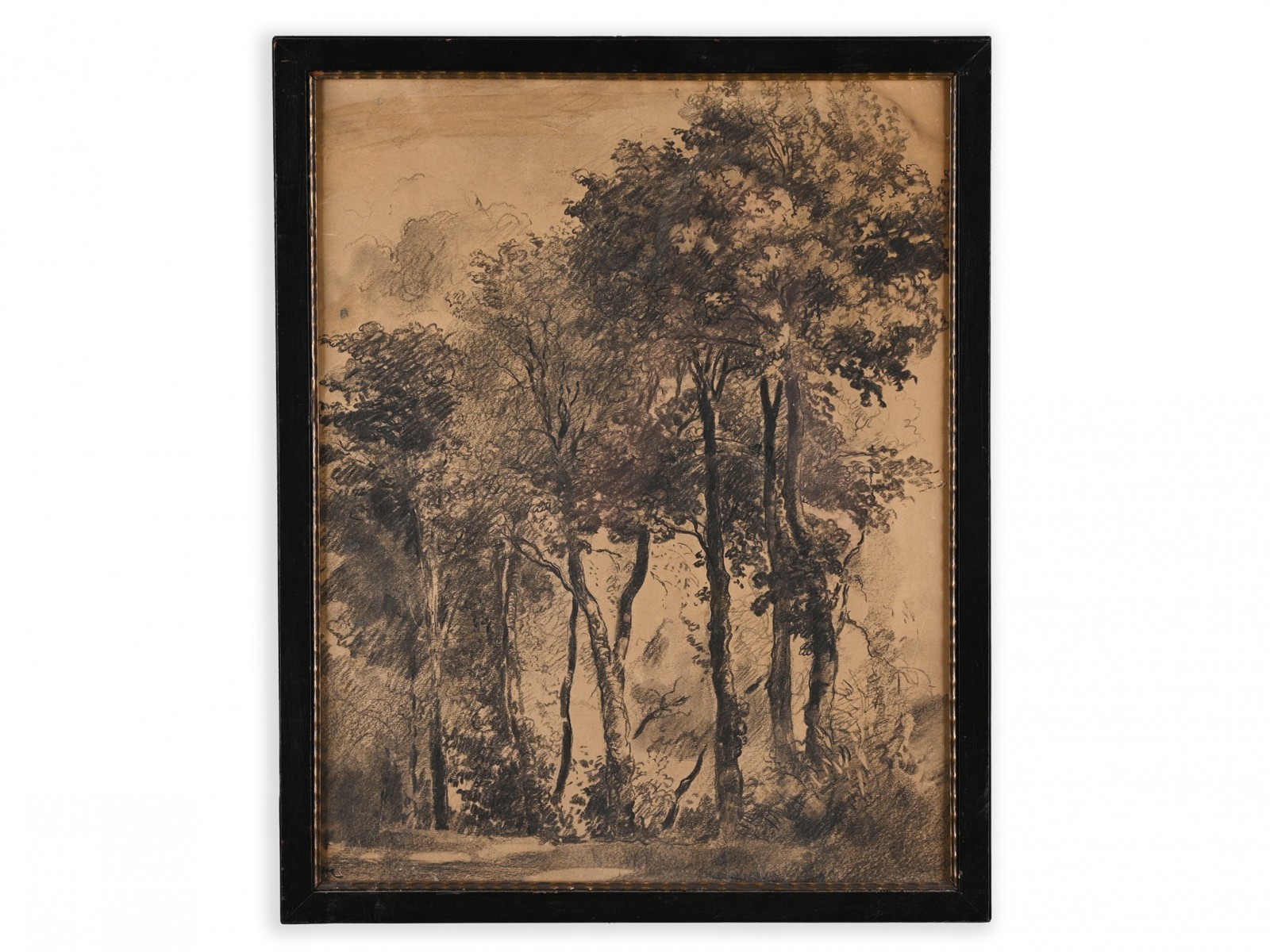 KAREL VIK 1883 - 1964 - STUDIE STROMŮ