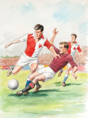 Niederle Marcel