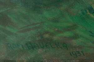 Havelka Roman