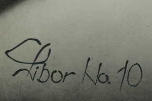 Vojkůvka Libor