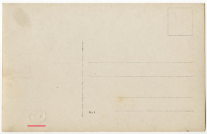 "Vystoupení žen. VII. všesokolský slet"