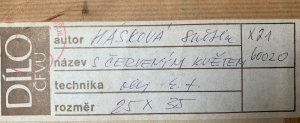 Hásková Světla (1936-2017)