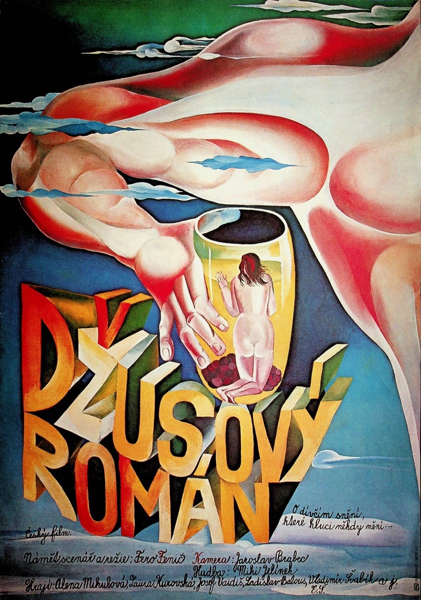 Džusový román - Eva Švankmajerová