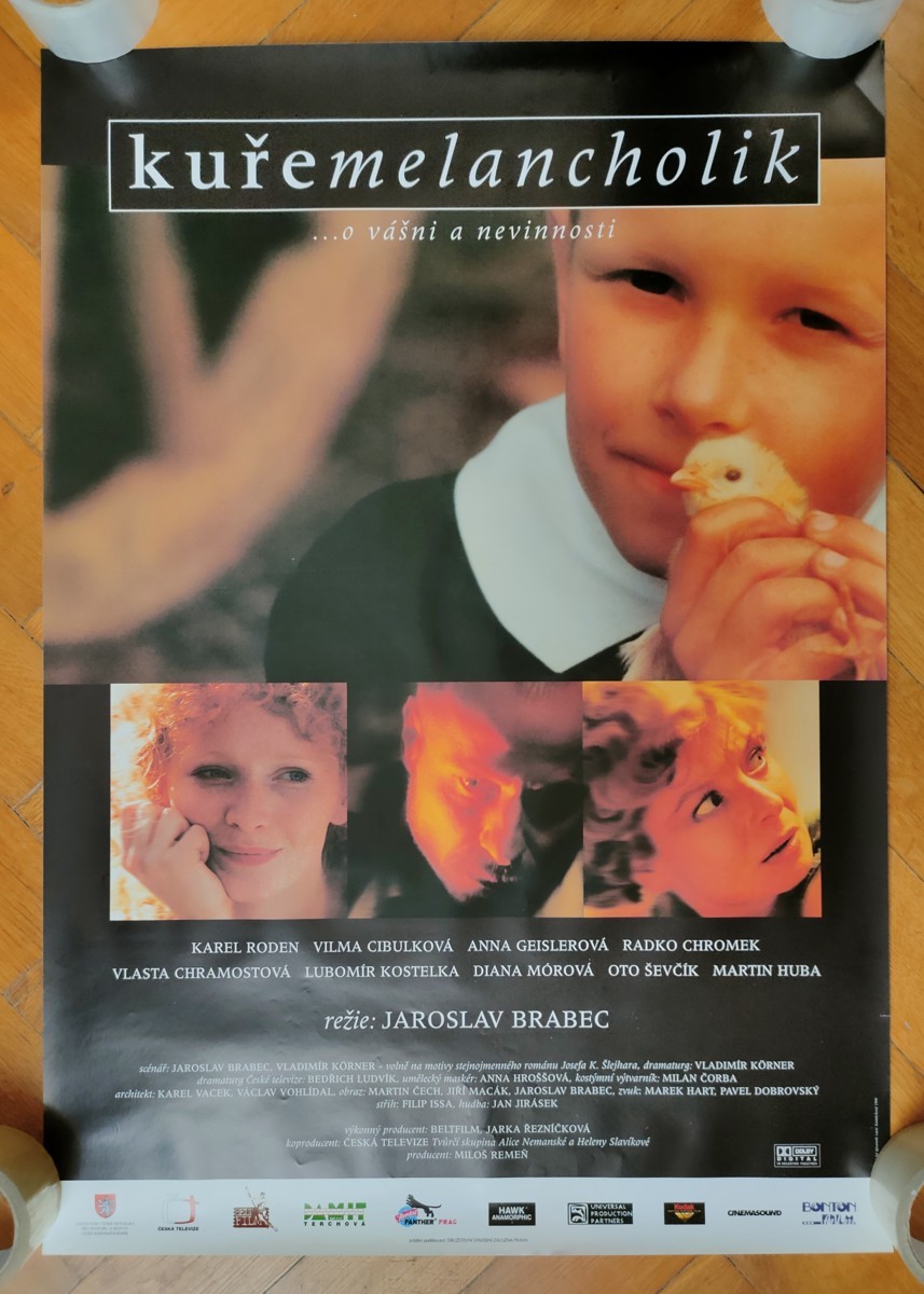 Kuře melancholik
