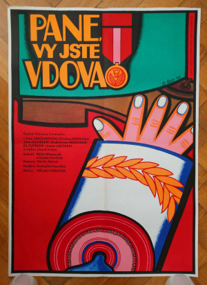 Pane, vy jste vdova! - Jindřich Čech