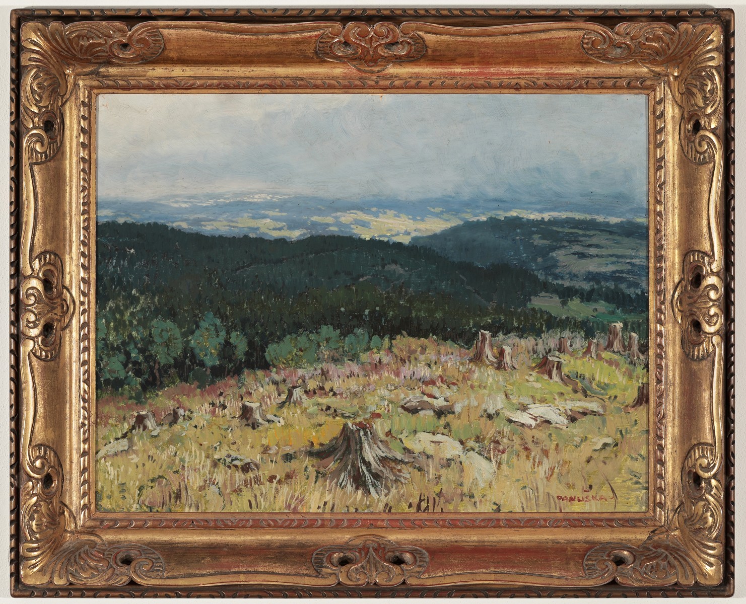 Jaroslav Panuška – Krajina