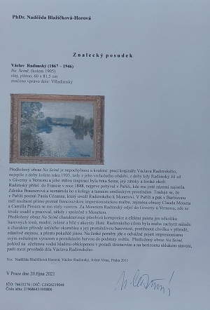 Václav Radimský – Zrcadlení na Seině