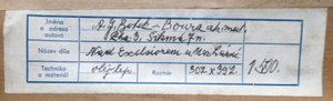 ANTONÍN J. BOBEK BOURA ( NAR. 1904 ) - NAD EXCELSIOREM V MARIÁNSKÝCH LÁZNÍCH