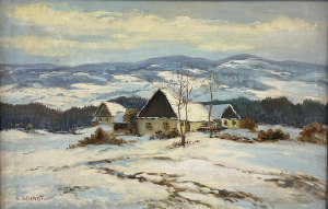 Horská zima - Schadt Karel 