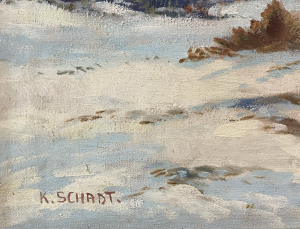 Horská zima - Schadt Karel 