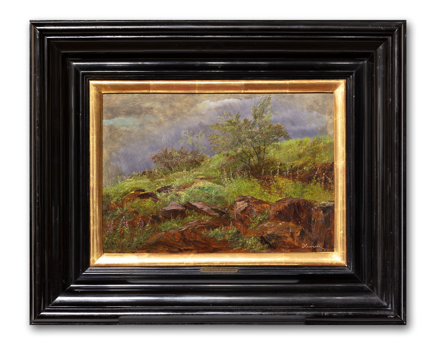 Havránek (Hawránek) Bedřich | Po dešti