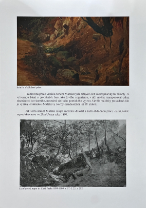 Mařák Julius | Cesta podle potoka