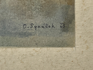 Synáček Otakar | Zátiší s pomeranči
