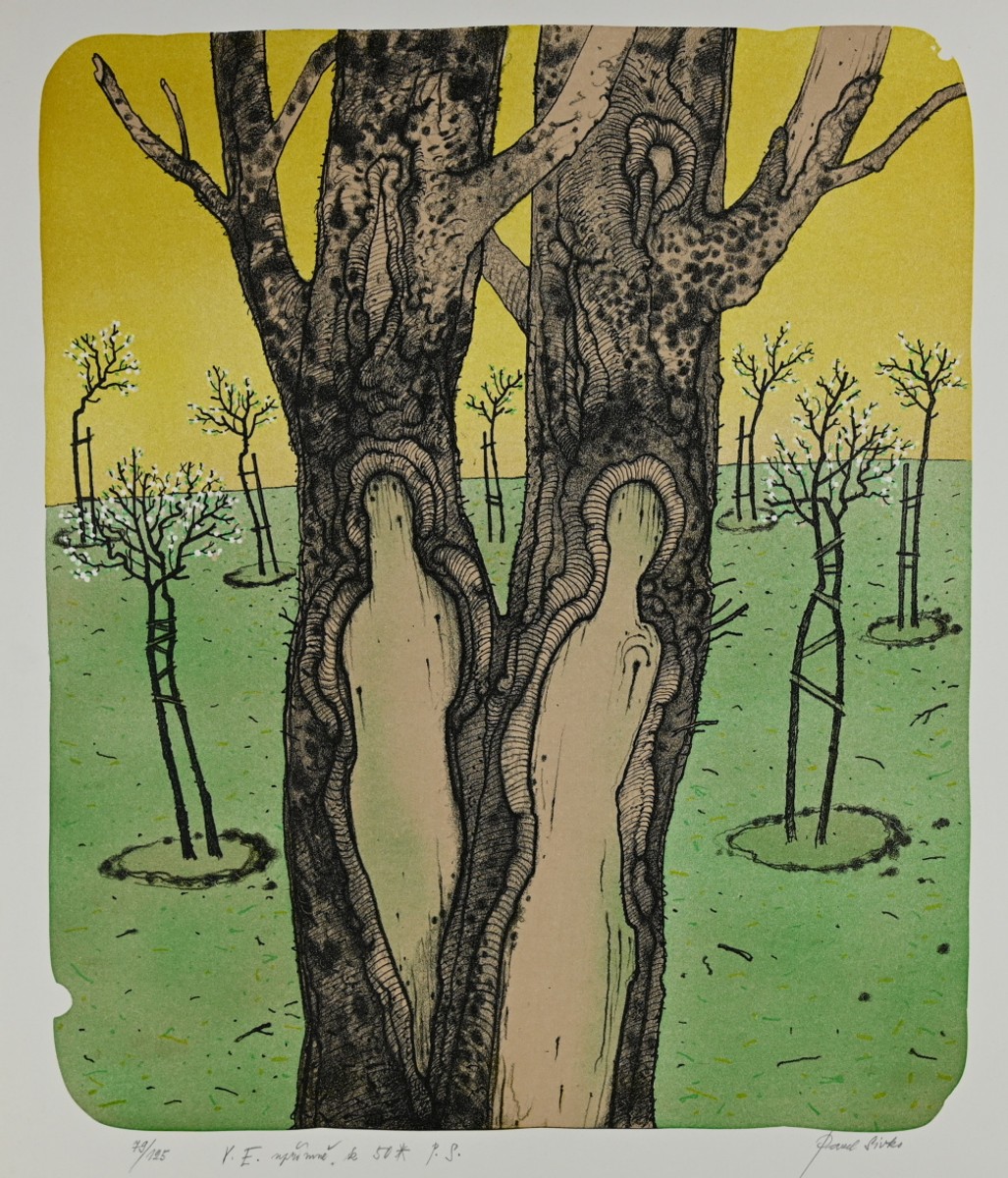 Sivko Pavel (1948 - ), Přání k narozeninám