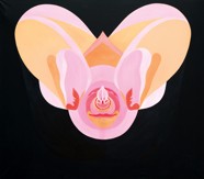 Nikl Petr