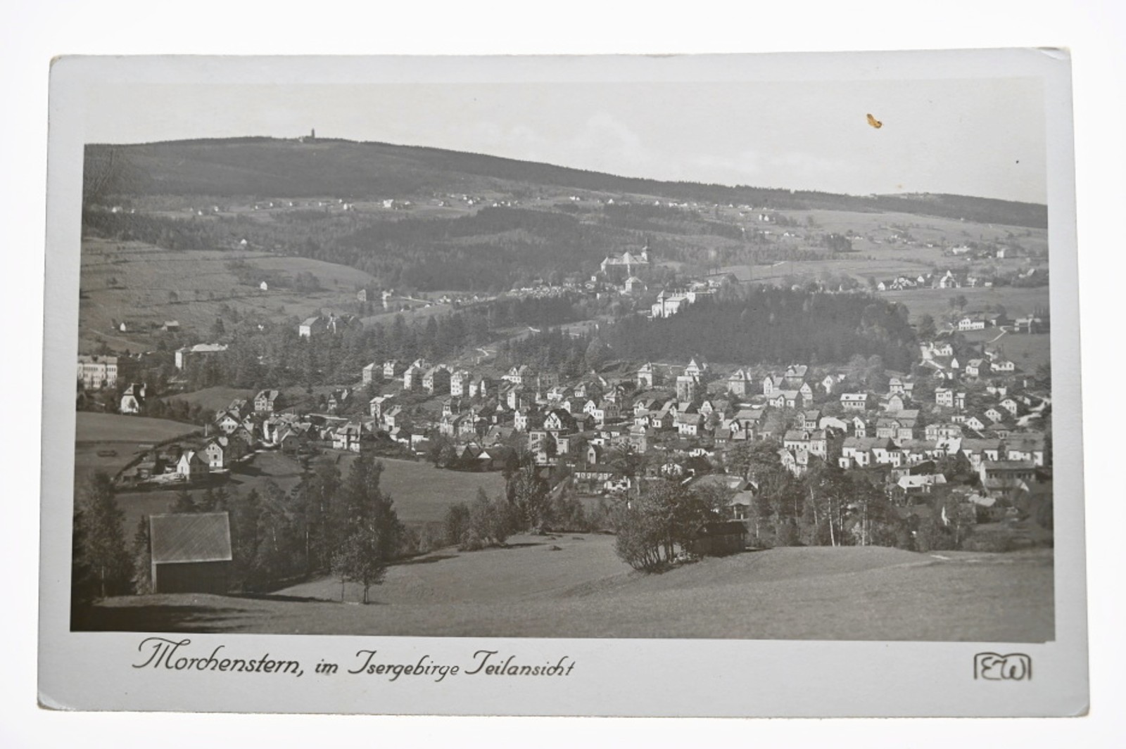 Morchenstern