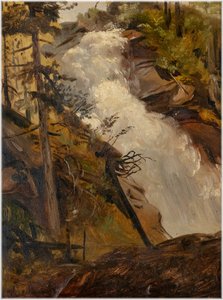Jan Nowopacký (1821 - 1908) -  Lesní vodopád