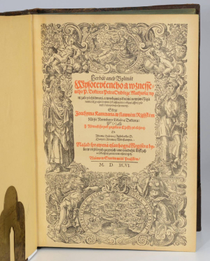 Pietro Andrea Gregorio Mattioli (1501-1577)
