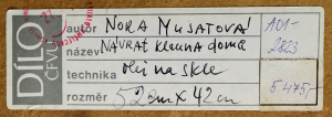 Nora Musatová - Návrat klauna domů