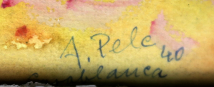 Antonín Pelc 