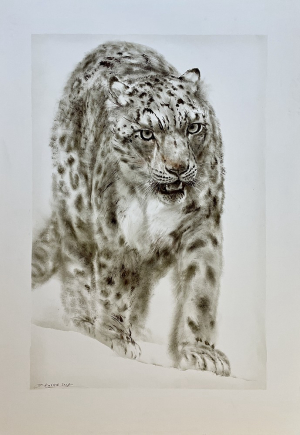Ladislav Kuklík - Irbis (sněžný leopard)