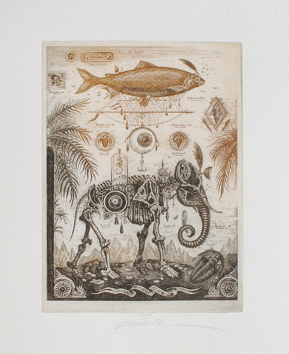 Milan Bauer - Elefant