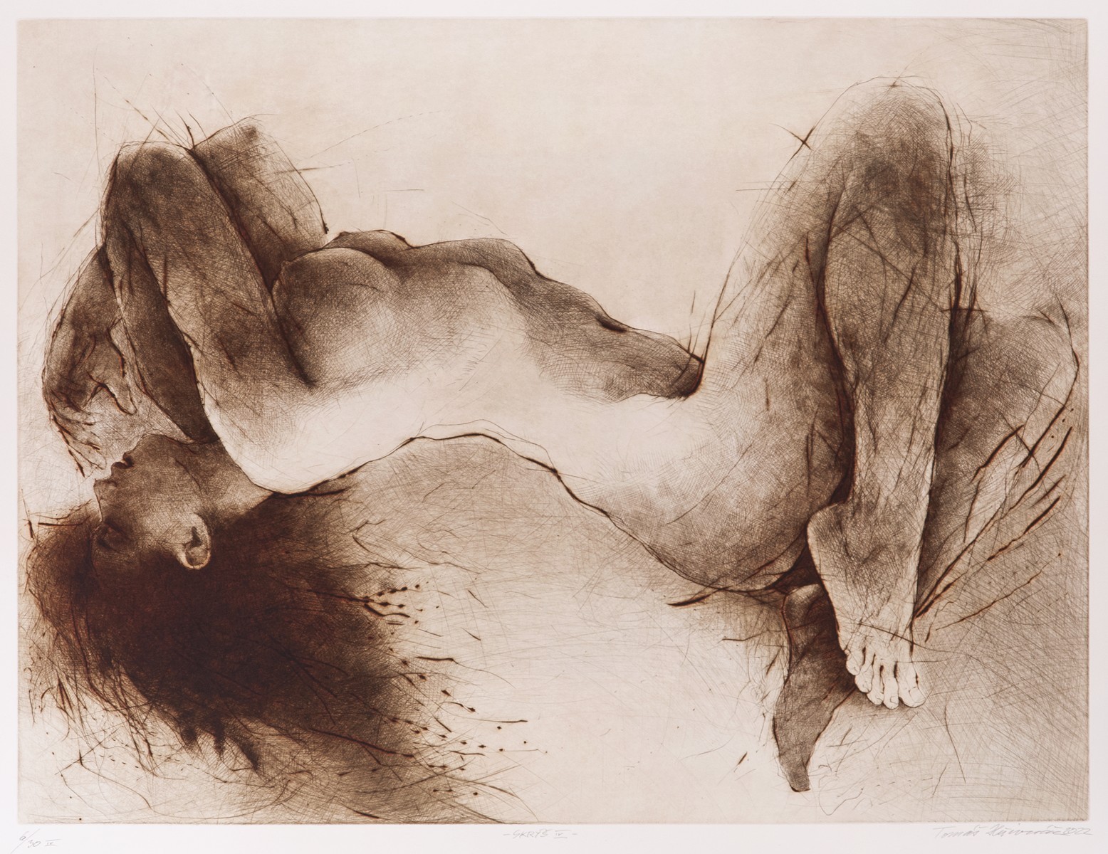 Tomáš Hřivnáč - Skrýš IV.