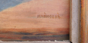 Kytice aster - M.Němcová