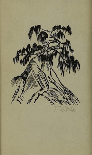 František Kobliha (1877 – 1962) - V horách