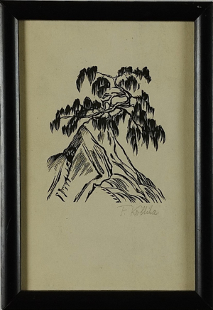 František Kobliha (1877 – 1962) - V horách
