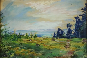 Antonín Kalous (1884 – 1960) – Brdy nad Věšínem