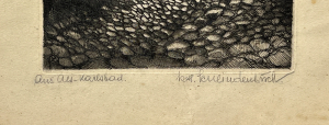 Schlindenbuch Rudolf Herbert | Aus Alt Carlsbad