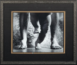 Saudek Jan - First step