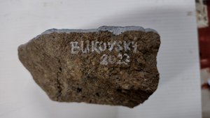 Bukovský Ivan