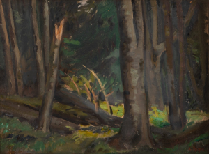 Vejrych Rudolf (1882-1939)