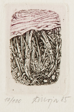 Moja V.