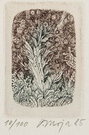 Moja V.