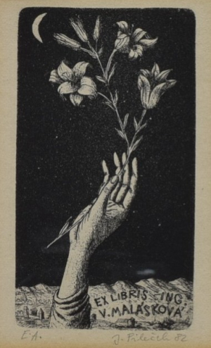PILEČEK Jindřich (1944-2002) Ex libris ing. Malásková.