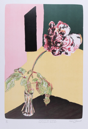Michal Rapant